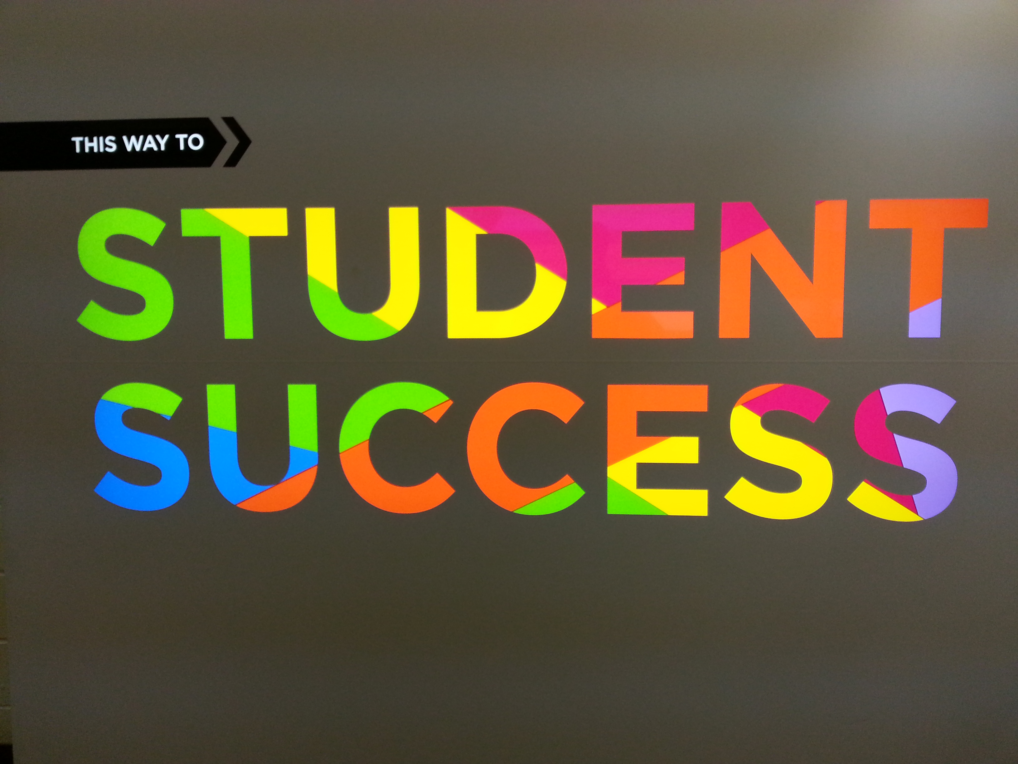 Spidergrams – Your Not-So-Secret Essay Writing And Exam Prep Weapon